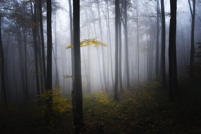 Central Balkan, Stara Mountain