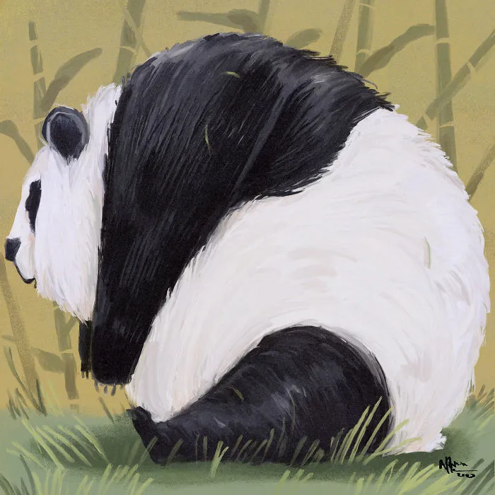 I Illustrated This Chonky Animals Series (13 Pics)