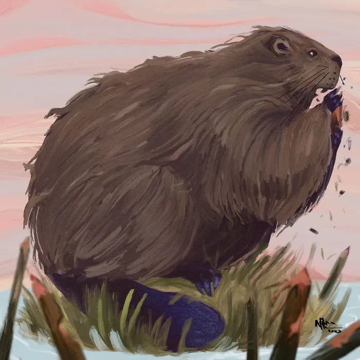 I Illustrated This Chonky Animals Series (13 Pics)