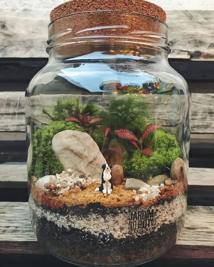 These Artists Put Micro, Self-Sustainable Ecosystems In Glass Containers (30 Pics)