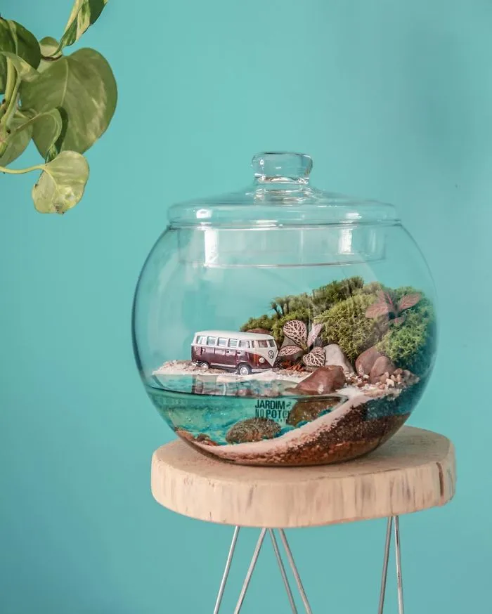 These Artists Put Micro, Self-Sustainable Ecosystems In Glass Containers (30 Pics)