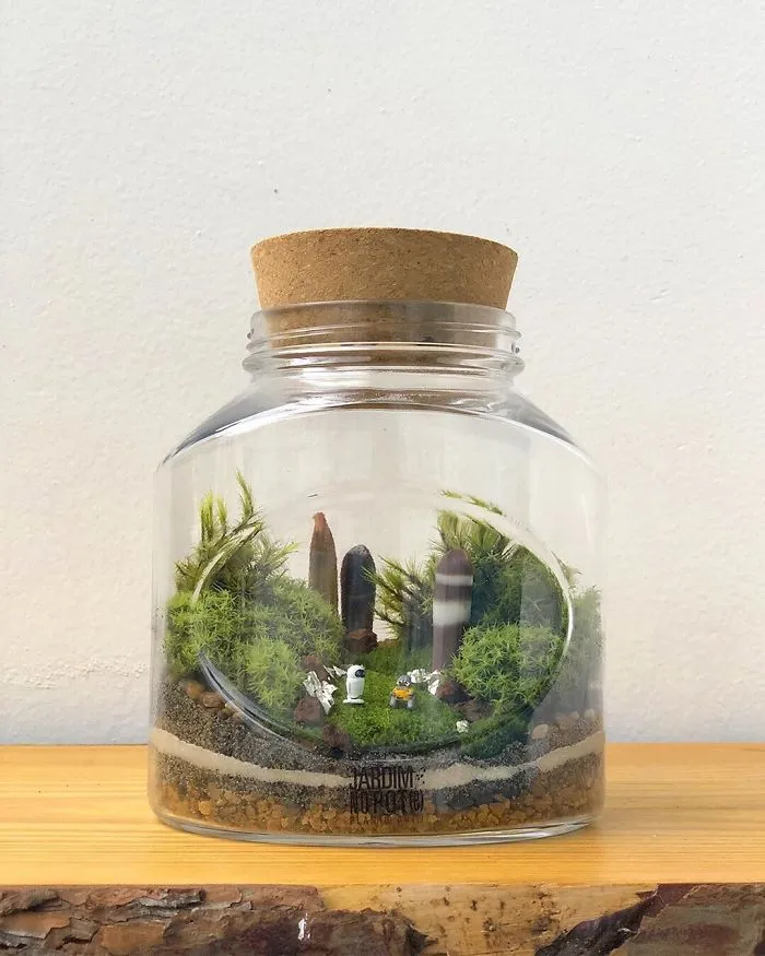 These Artists Put Micro, Self-Sustainable Ecosystems In Glass Containers (30 Pics)