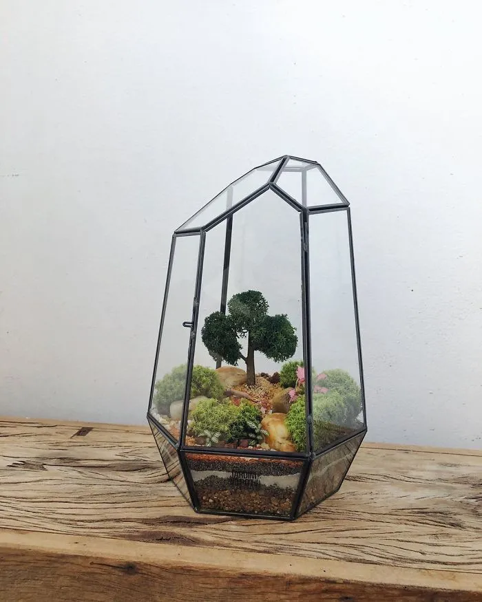 These Artists Put Micro, Self-Sustainable Ecosystems In Glass Containers (30 Pics)