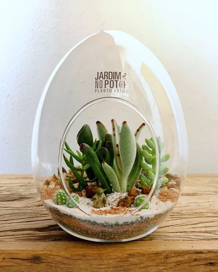 These Artists Put Micro, Self-Sustainable Ecosystems In Glass Containers (30 Pics)