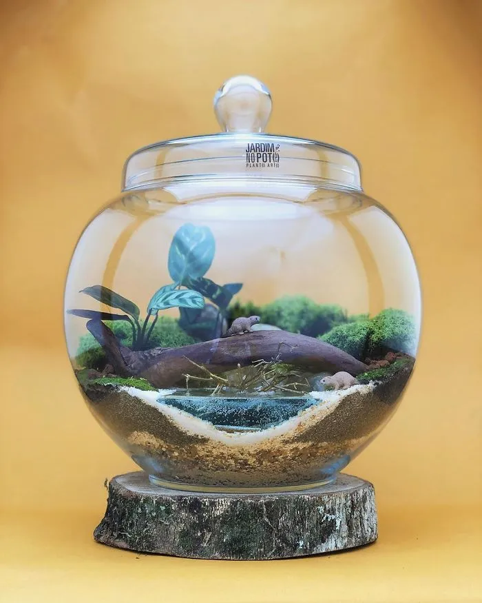 These Artists Put Micro, Self-Sustainable Ecosystems In Glass Containers (30 Pics)