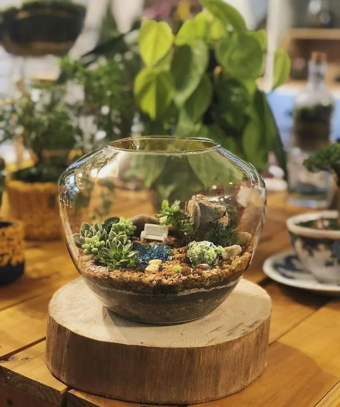 These Artists Put Micro, Self-Sustainable Ecosystems In Glass Containers (30 Pics)