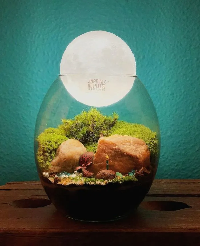 These Artists Put Micro, Self-Sustainable Ecosystems In Glass Containers (30 Pics)