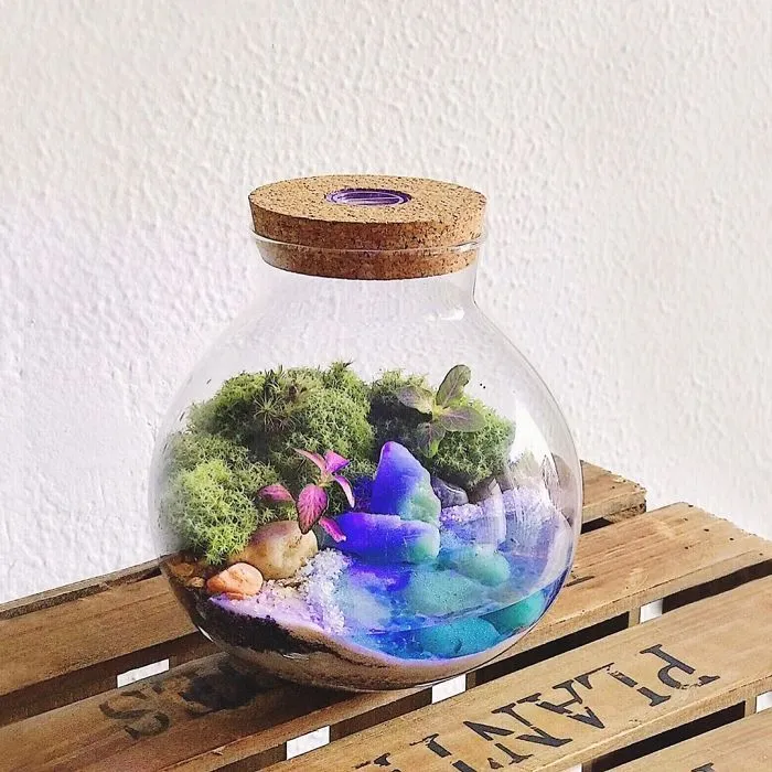These Artists Put Micro, Self-Sustainable Ecosystems In Glass Containers (30 Pics)