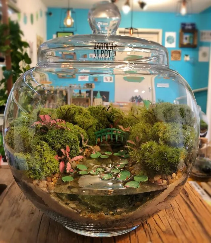 These Artists Put Micro, Self-Sustainable Ecosystems In Glass Containers (30 Pics)