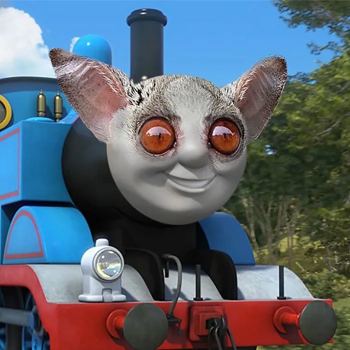 Thomas The Bushbaby