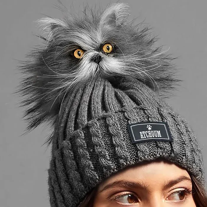 The Cat In The Hat