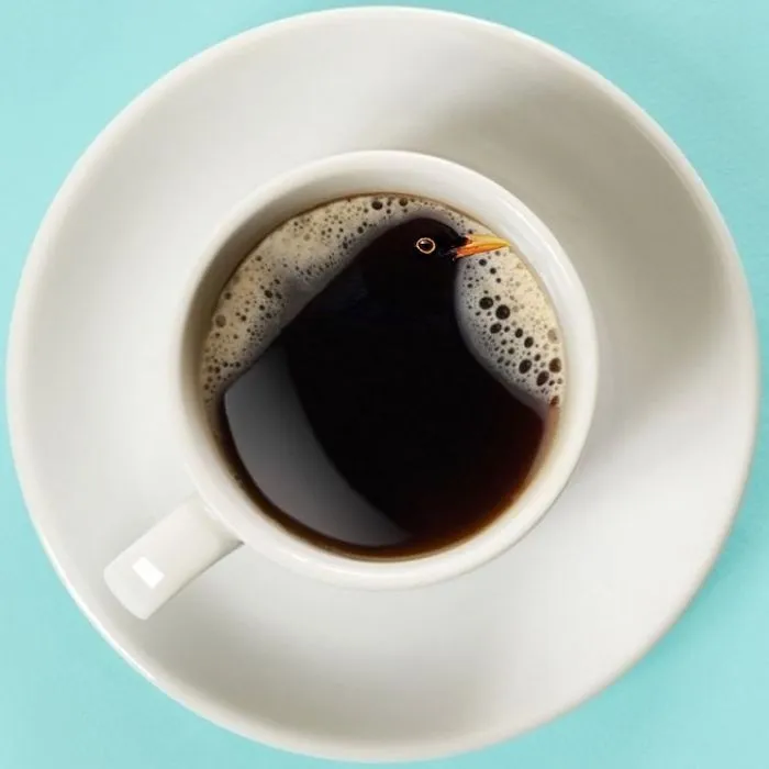 Cawffee