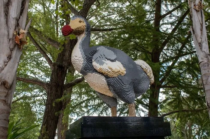 Dodo Bird