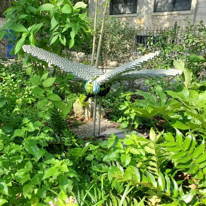 Dragonfly