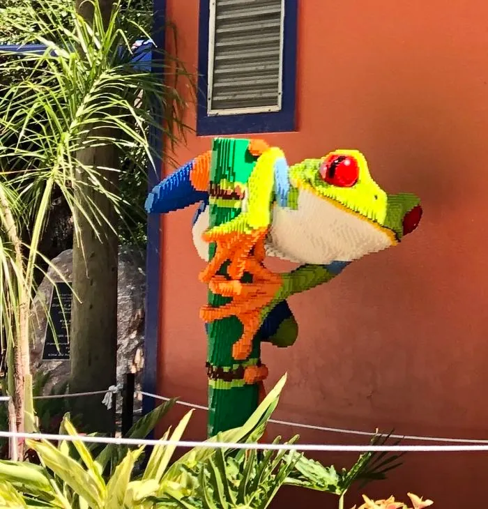 Frog