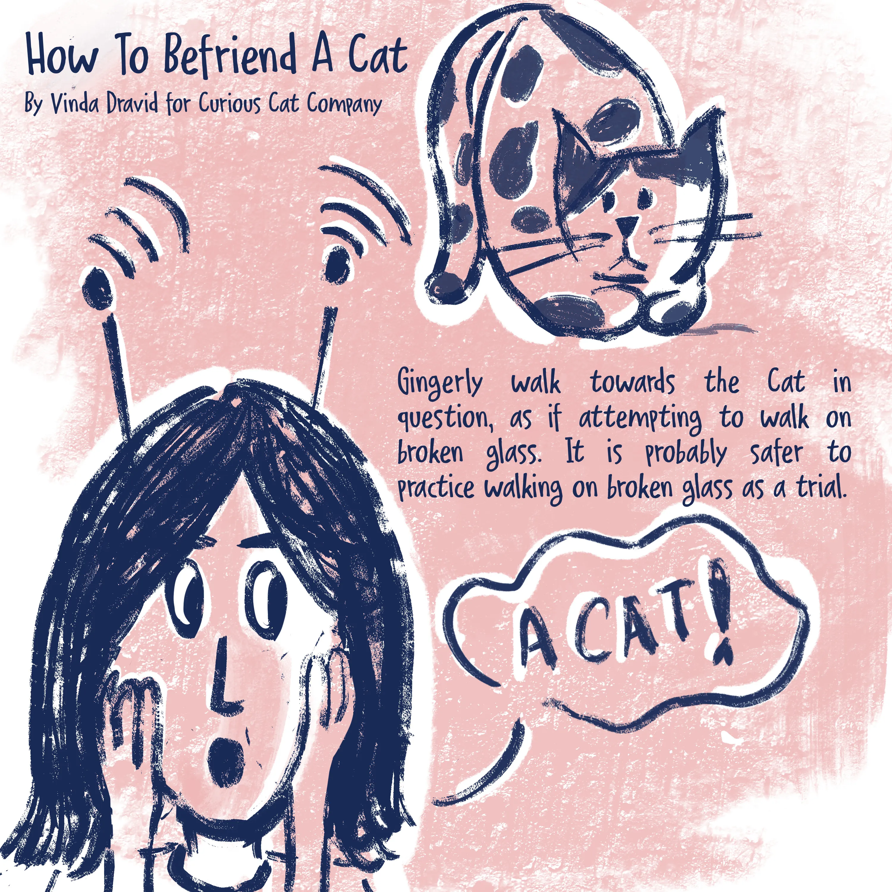 The Scientific Way To Befriend A Cat