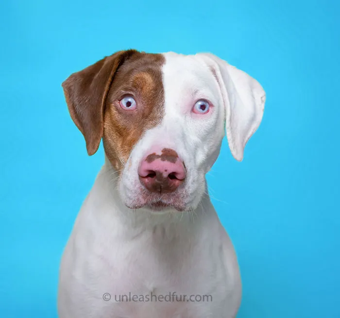 Mildred (Deaf And Visually Impaired)