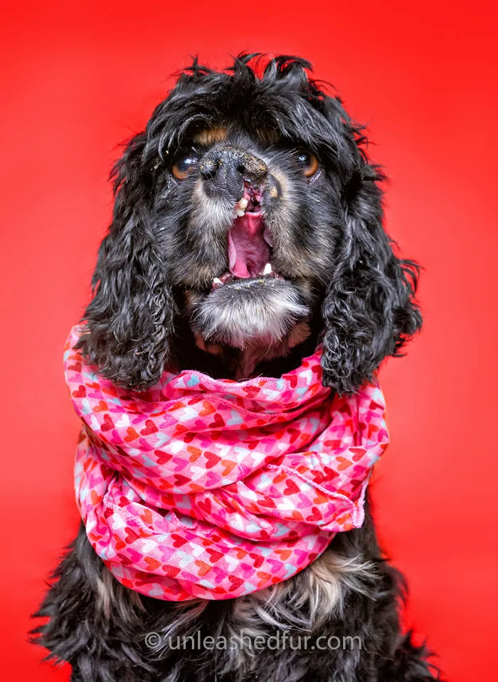Yennifer (Has A Cleft Palate)