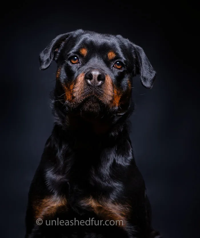 Zoe