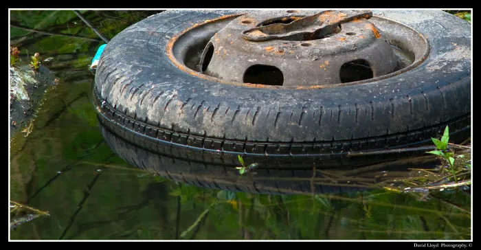 Wet Or Dry Tyre?
