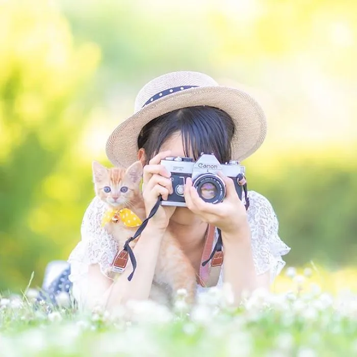 This Photographer Captures Bright And Happy Photos Of Adorable Kittens Playing With Cameras (18 Pics)