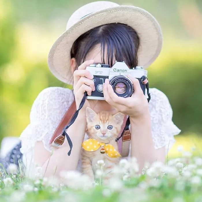This Photographer Captures Bright And Happy Photos Of Adorable Kittens Playing With Cameras (18 Pics)