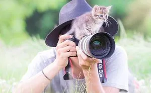 This Photographer Captures Bright And Happy Photos Of Adorable Kittens Playing With Cameras (18 Pics)