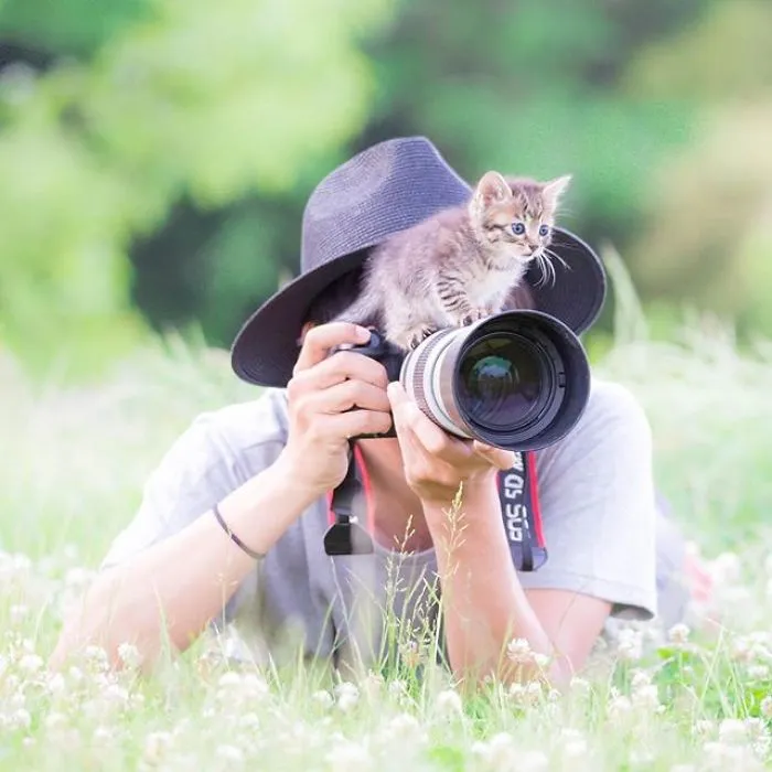 This Photographer Captures Bright And Happy Photos Of Adorable Kittens Playing With Cameras (18 Pics)