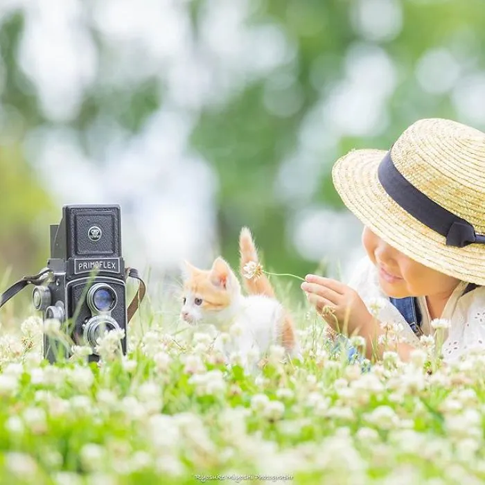 This Photographer Captures Bright And Happy Photos Of Adorable Kittens Playing With Cameras (18 Pics)
