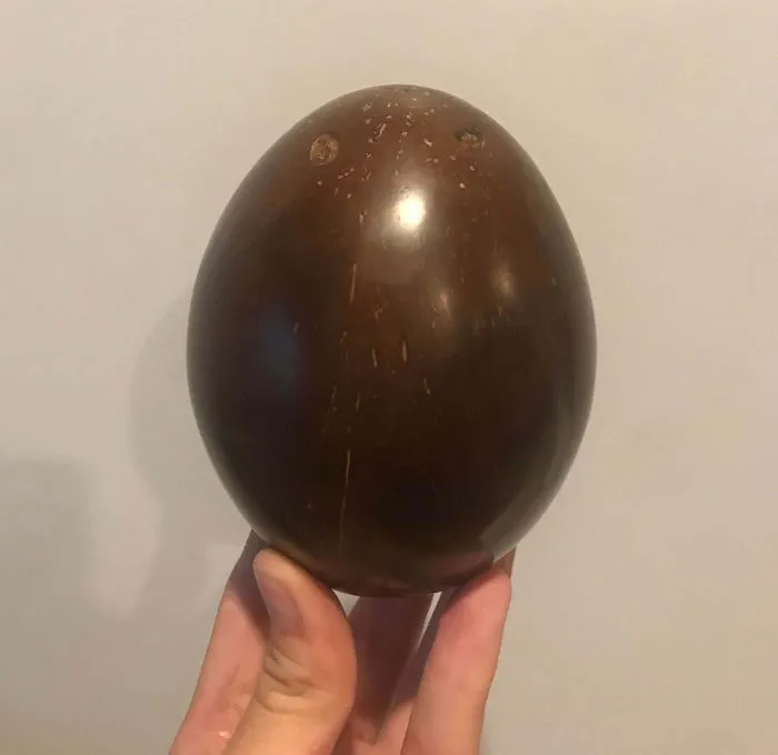 This Is What Happens When You Polish A Coconut