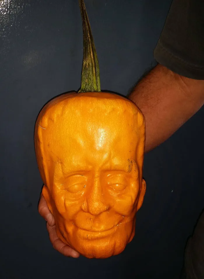 What Happens When You Grow A Pumkin Inside A Plastic Mold