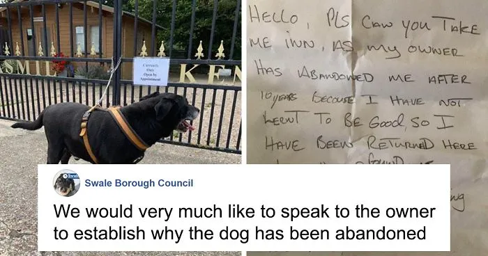 "I Haven't Learnt To Be Good": People Find An Abandoned Elderly Labrador With A Note
