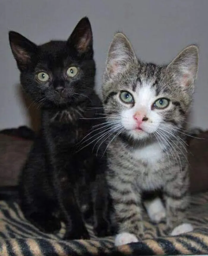 The First Foto Of My Sweeties