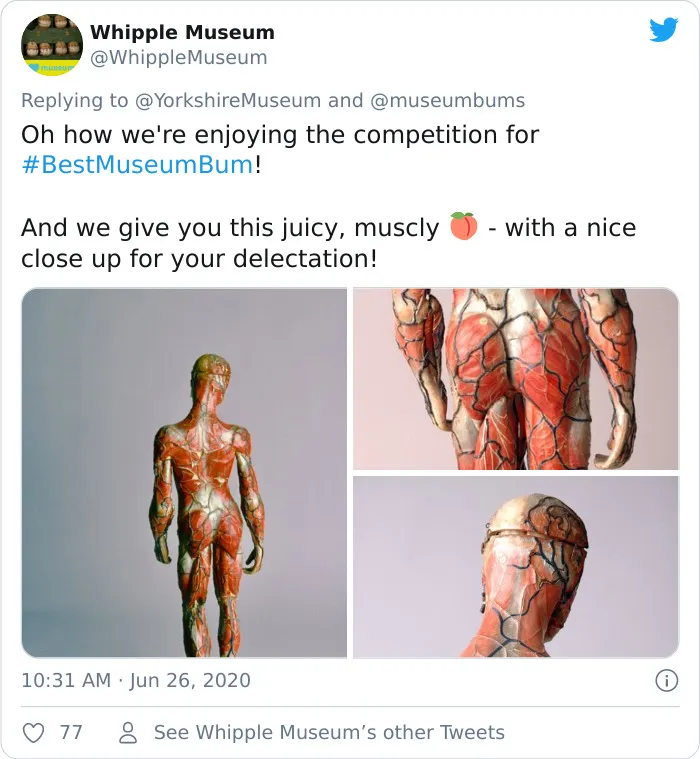 Museums Are Hilariously Battling Over Who Has The Best Bum Exhibit (39 Pics)