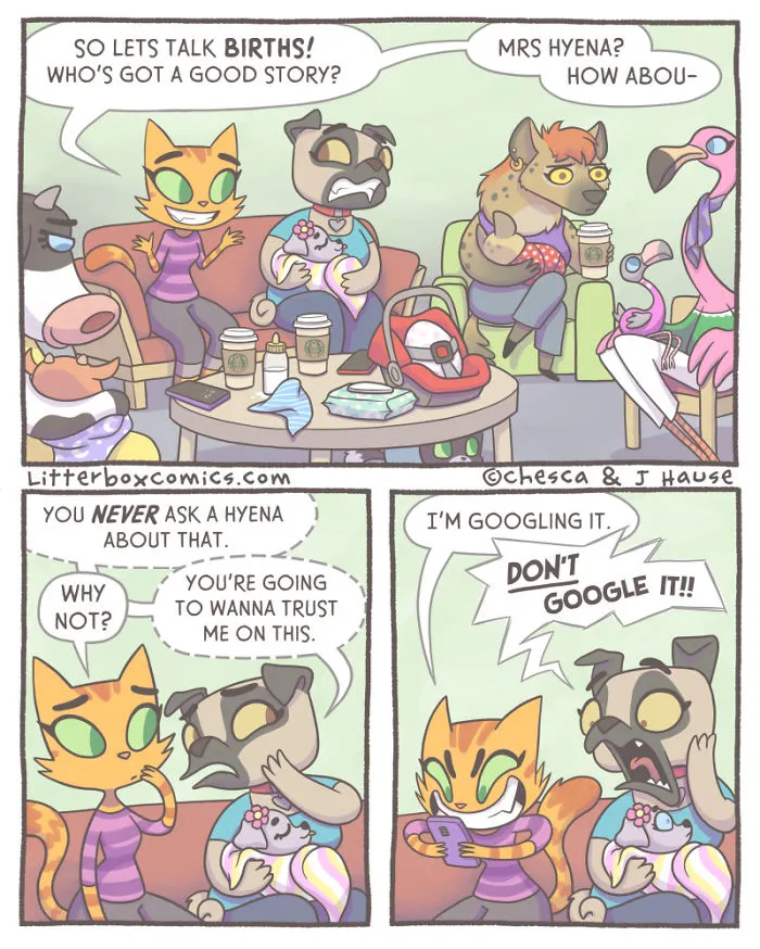 Birth Stories