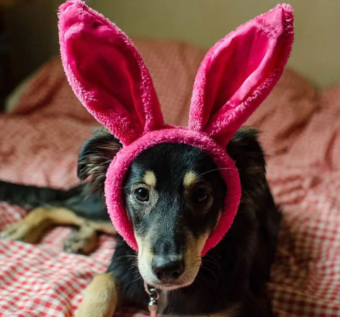 It's Too Hard To Choose The Cutest Picture From All Of Them, But This One Is Between My Top 10