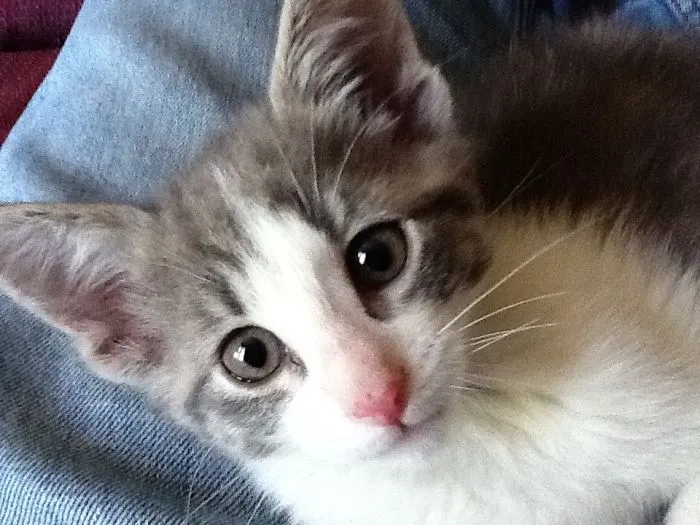 This Is Bunny.  She Loves You!