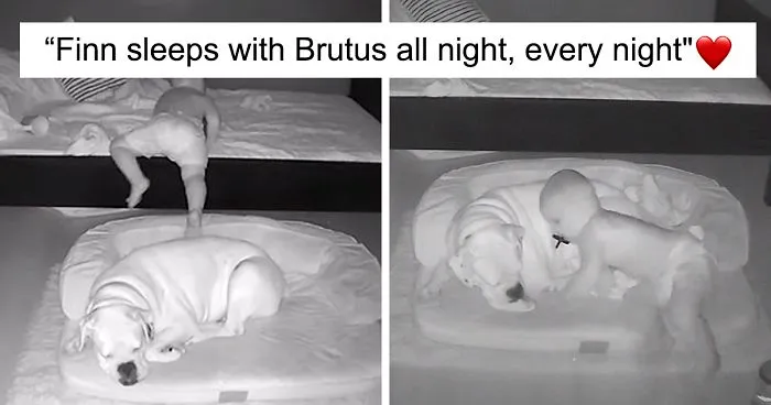 Camera Captures Adorable Moment Little Boy Sneaks Out Of His Bed To Sleep With His Dog