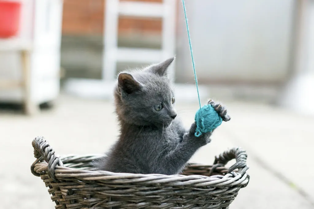 Mine Now