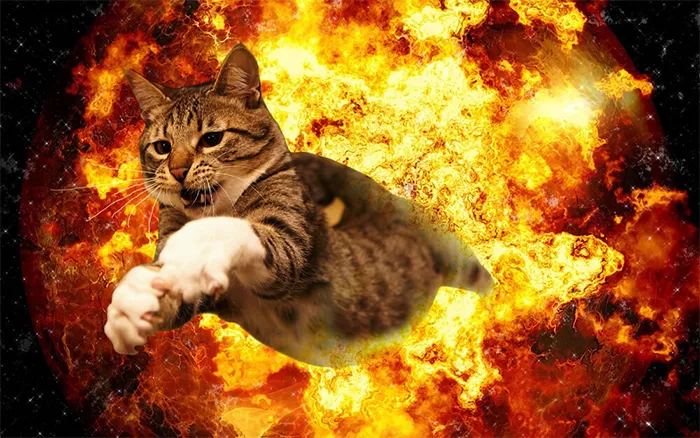 Michael Bay