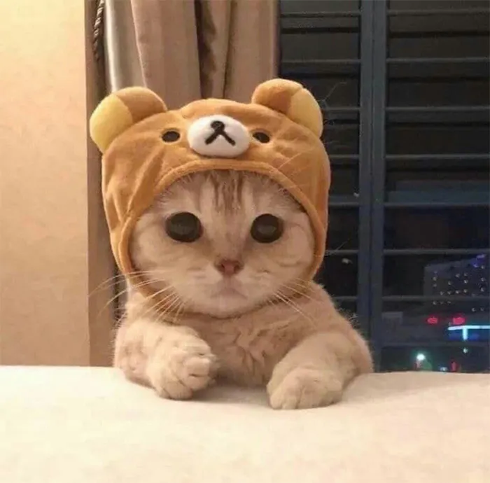 Wes Anderson