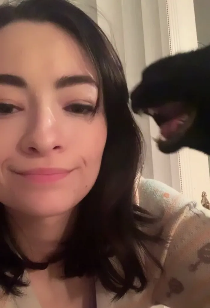 He Yells In My Ear If His Dinner Is Late. Finally Caught One On Camera