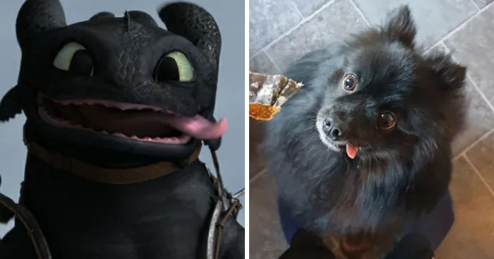 People Post Side-By-Side Pics Of Famous People And Their Dog Lookalikes (30 Pics)