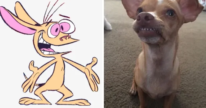People Post Side-By-Side Pics Of Famous People And Their Dog Lookalikes (30 Pics)