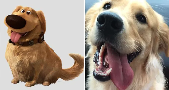People Post Side-By-Side Pics Of Famous People And Their Dog Lookalikes (30 Pics)