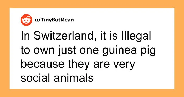 People Are Comforting Each Other With Uplifting Facts, And Here Are 30 Of The Best Ones