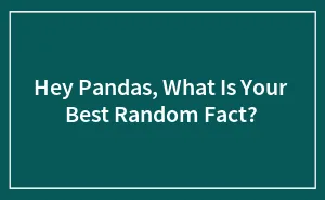 Hey Pandas, What Is Your Best Random Fact? (Closed)