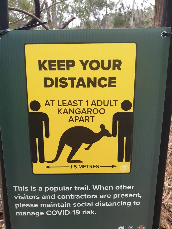 22 Funny, Straightforward Signs About The Coronavirus Situation Put Up By Shops And Restaurants
