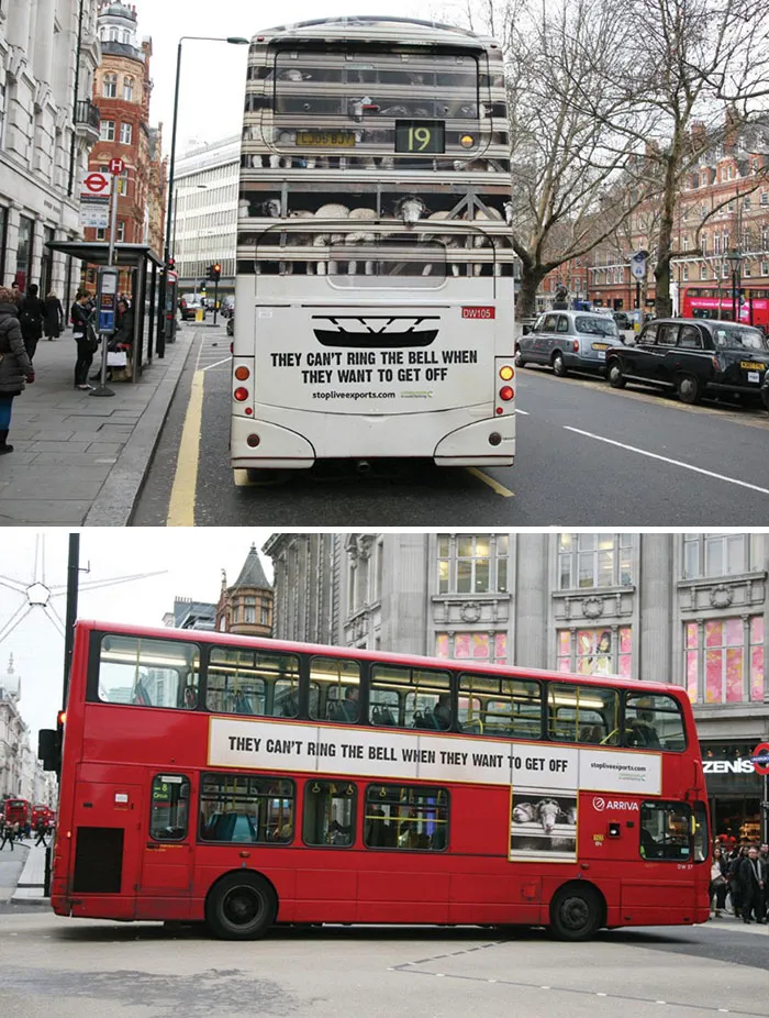 Compassion In World Farming: Stop Live Exports
