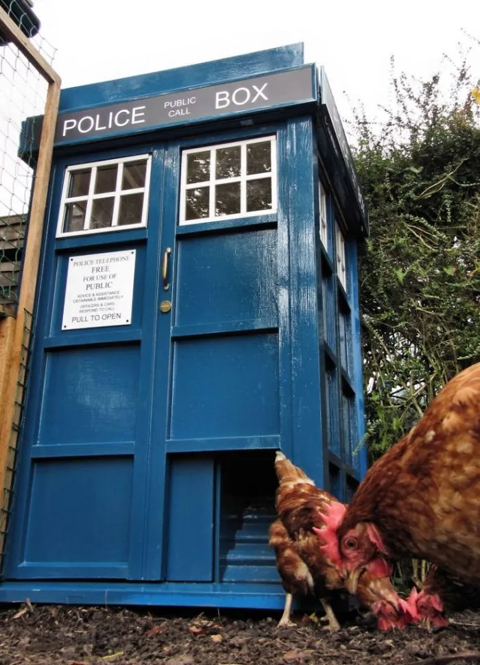 30 Times People Got Creative With Their Chicken Coops And Built These Gems